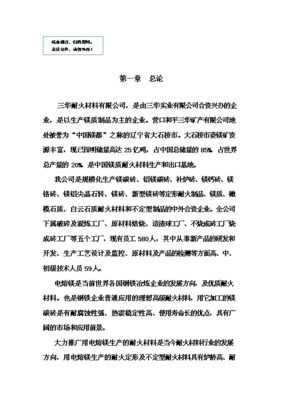 (終稿)電熔鎂生產線新建項目備案立項報告.doc(OK版)