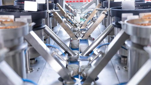 走進洽洽透明工廠,探訪一顆堅果蘊藏的新質(zhì)生產(chǎn)力